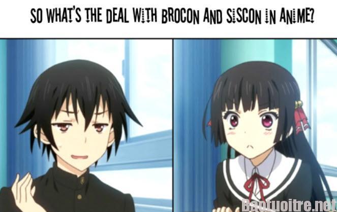 Siscon và brocon là gì? Brocon nghĩa là gì, Brocon ý nghĩa trong Anime